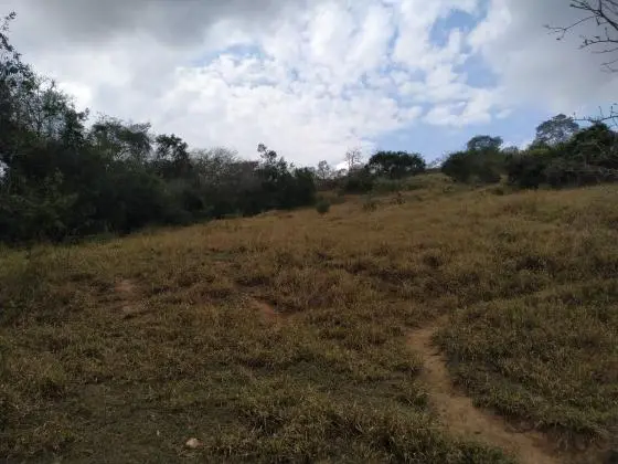 Vendo Área Rural 13 Hectares - Coronel Xavier Chaves - MG