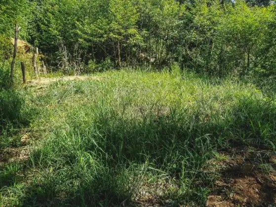 TERRENO COM VISTA PANORÂMICA