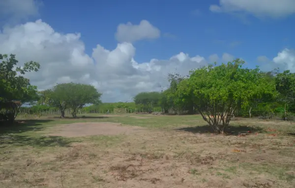 Terreno em Pontal de Maceió à venda