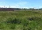 Imóvel Facilitado Grande Oportunidade