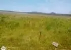 Terreno barato direto com proprietário próximo a Búzios