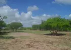 Terreno em Pontal de Maceió à venda