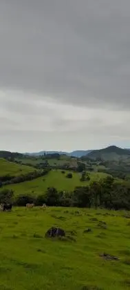 3 HECTARES A VENDA PRÓXIMO A RS-020