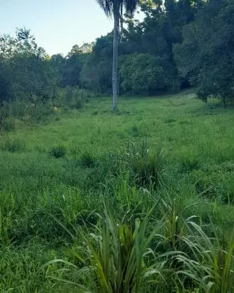 VENDA DE 1 HECTARE EM TAQUARA