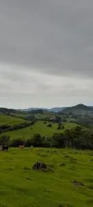 3 HECTARES A VENDA PRÓXIMO A RS-020