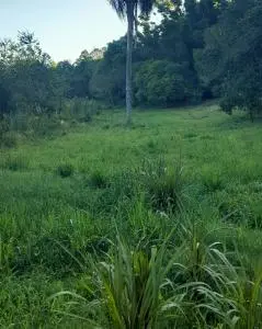VENDA DE 1 HECTARE EM TAQUARA