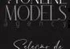 Portal Agência Seleção de Modelos