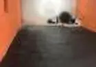ALUGA-SE SALÃO COMERCIAL NO JARDIM ANA ESTELA EM CARAPICUIBA