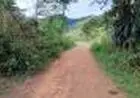 Vendo terreno Lote 7 75 mil Sertão do Rio Claro 12 m2 x 80, 38 m2