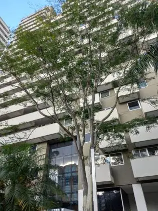 Conjunto Comercial Metrô Paraíso em frente à Estação bairro Paraíso / Vila Mariana