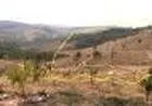 Vendo ótimas chácaras de 1300m2 cada, em Itatiaiuçu - particular - troco por maior valor