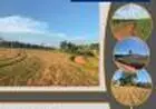 LOTES COM PRECOS  ESPECIAIS PARA VOCE EM ATIBAIA SP