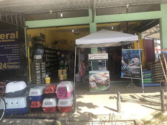 Amamos Pets - Serviços para Animais de Estimação