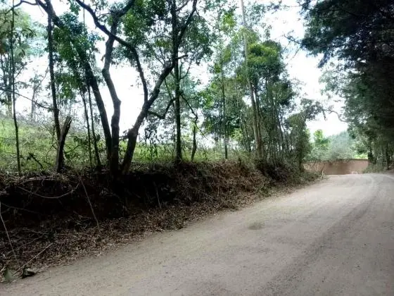 Chácara à venda em Poços de Caldas MG. 3.390m2. R$330.000, 00