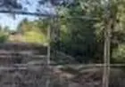 Sítio à Venda, Sustentabilidade E Tranquilidade em Fazenda Fialho Morungava