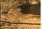 Vendo Terreno plano com duas frentes
