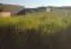 Terreno no Litoral Paulista de 360m2