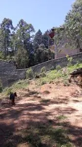 Vendo terreno serra da cantareira Mairiporã com 610 metros