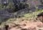 Vendo terreno serra da cantareira Mairiporã com 610 metros