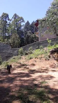 Vendo terreno serra da cantareira Mairiporã com 610 metros