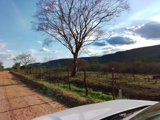 Excelentes Terrenos no Centro-Norte da Bahia