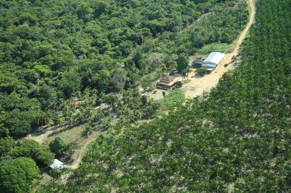 Localização no estado do Pará município de Tomé-açú cidade quatros bocas, a 30 km de quatros