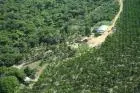Localização no estado do Pará município de Tomé-açú cidade quatros bocas, a 30 km de quatros 