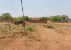 Venda de área no Loteamento Residencial Daniela em Gurupi - TO