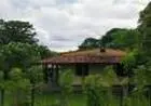 Sítio a Venda na Barra do Jacuipe, Camaçari, Bahia