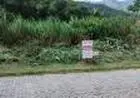 Vendo terreno em Nova Friburgo R.J. em Sao Pedro da Serra
