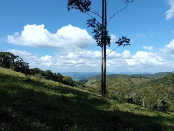 Chácara à venda em Poços de Caldas - MG | 20.000m2 | Colinas. R$420.000, 00