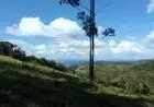 Chácara à venda em Poços de Caldas - MG  | 20.000m2 | Colinas. R$420.000, 00