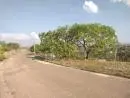 Lotes financiados  em Juatuba Mg -360m2