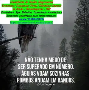 CONSULTORIA PARA MEI - DECLARAÇÃO ANUAL/GUIAS DASN
