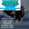 CINCO CONJUNTOS-Serviços Consultoria Apoio Pequenas Micro Empresas