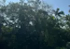 Vendo Terreno