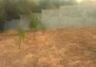 vendo casa com chacara rural