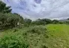 Terreno à venda, 4000 m² por R$ 600.000 - Macacú - Garopaba/SC