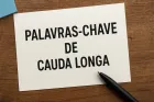 Palavras-chave de Cauda Longa: O Guia Completo para Estratégias de SEO Avançadas