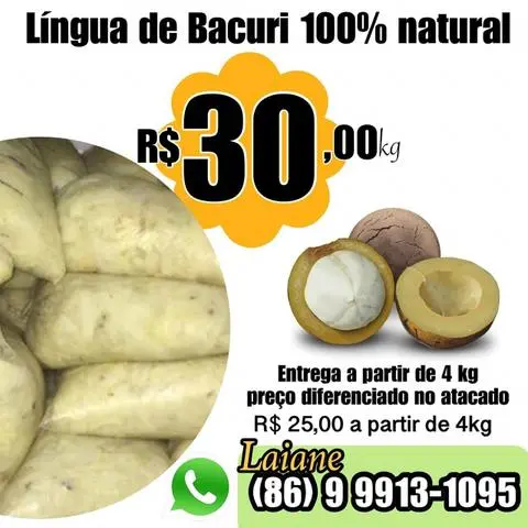 Polpas de Bacuri