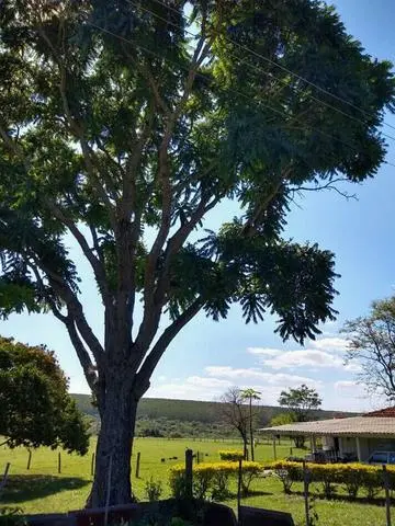Peão de fazenda