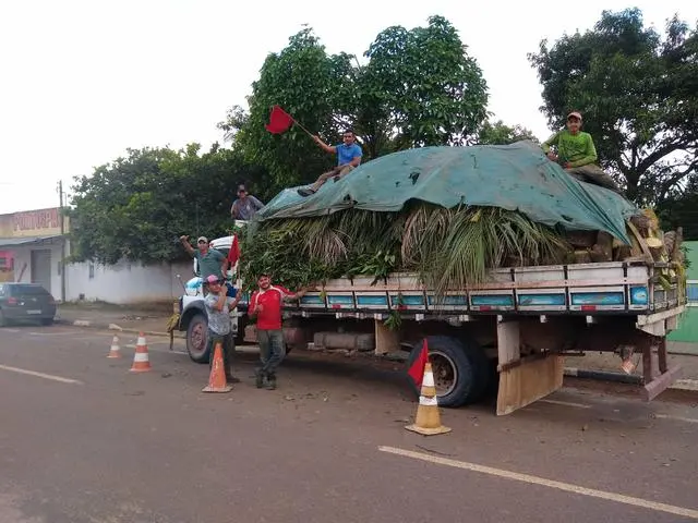 Corte de árvores e corte grama e limpeza de terreno