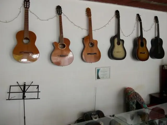 Instrumentos semi novos