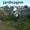 Jardinagem limpeza de terreno