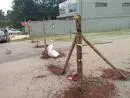 Limpeza e cerceamento de lotes
