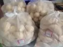 Encomendas de Salgados