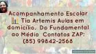 Acompanhamento Escolar Tia Ártemis