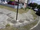 Claudio jardinagem e pods de árvores