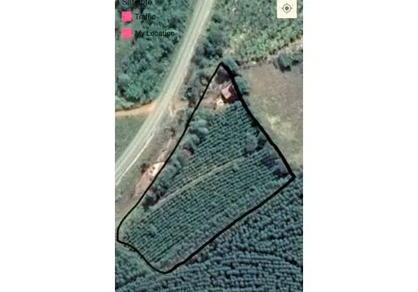 Terreno em Silvianopolis de 20.000 metros