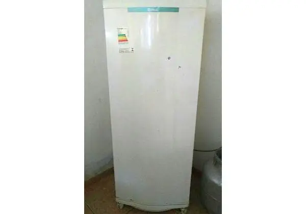 Geladeira 250, 00